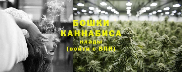 PSILOCYBIN Ладушкин