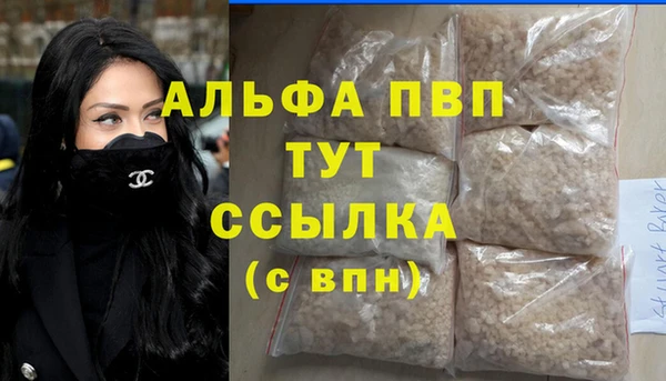 PSILOCYBIN Ладушкин